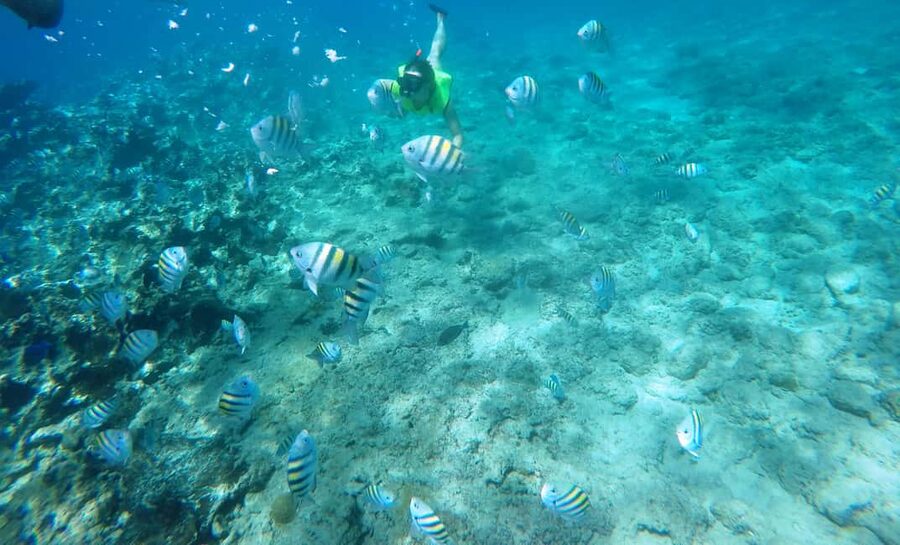 Snorkeling Tour & Sosua Beach Day - Key points to know before booking