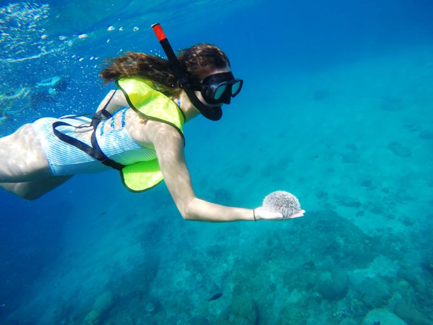 Snorkeling Tour & Sosua Beach Day - Guides, languages, and group size