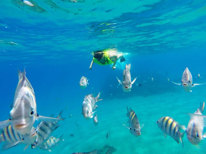 Snorkeling Tour & Sosua Beach Day - Starting at Sosua Bay and Three Rocks