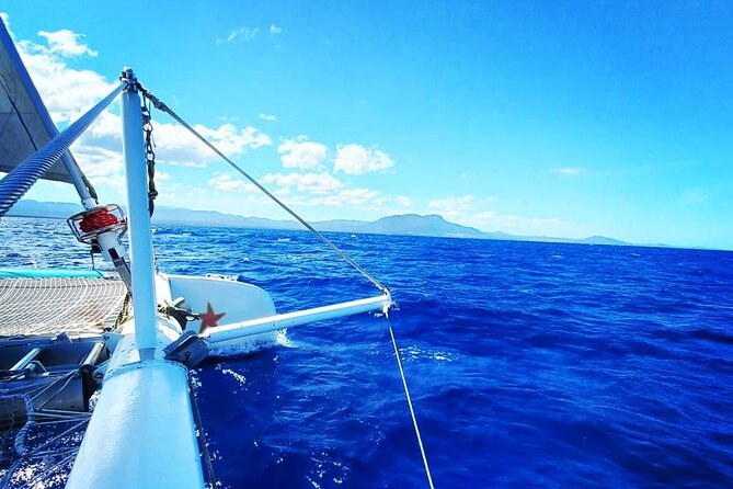 Sosua Catamaran Excursion - The first reef is your best chance for fish