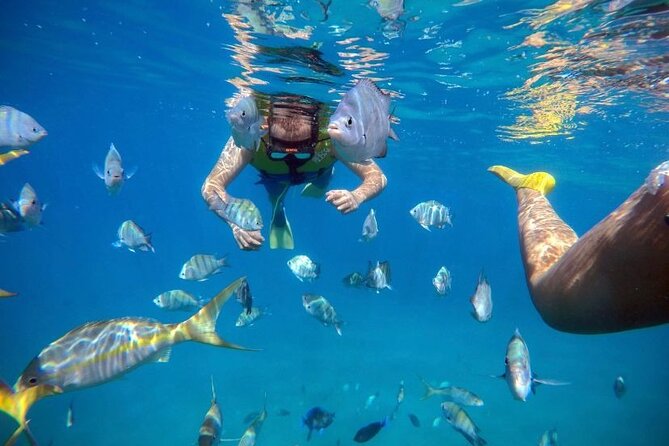 Sosua Party Boat -Snorkeling-Brunch-Drinks-Snacks-Transportation - Transportation is the part to manage carefully