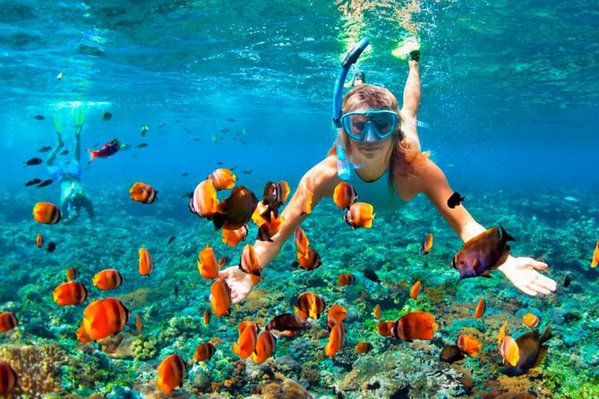 Speed Boat Adventure In Punta Cana - Playa Los Corales and the snorkeling stop