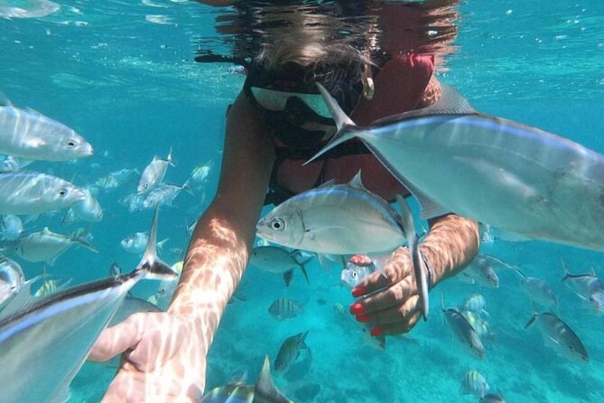 Speed Boat and Snorkeling in Punta Cana Bavaro - Guides, pickup, and the human side of the trip