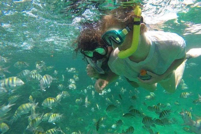 Speed Boat and Snorkeling in Punta Cana Bavaro - Driving the speedboat under supervision