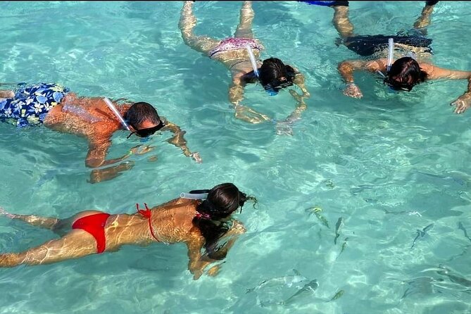 Speed Boat Ride and Snorkel Experience in Punta Cana - Who will enjoy this two-hour outing