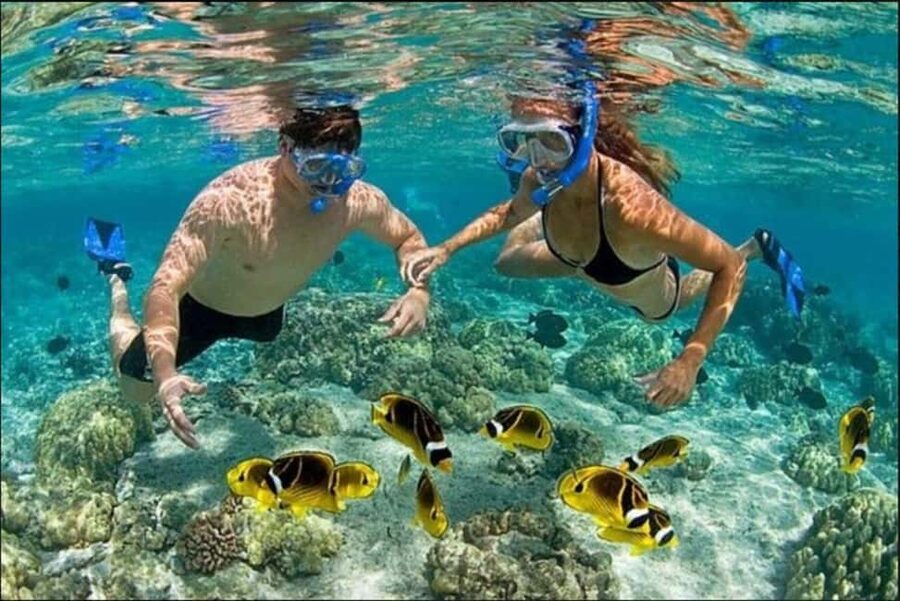 Speedboat Adventure and Snorkeling from Punta Cana - Key points before you book