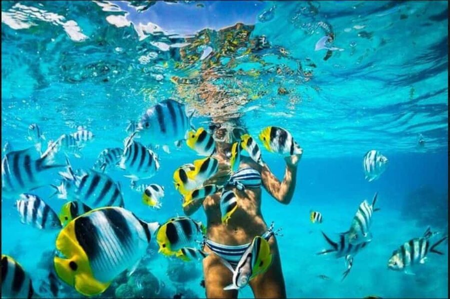 Speedboat Adventure and Snorkeling from Punta Cana - The Bávaro natural pool and its boat-party feel