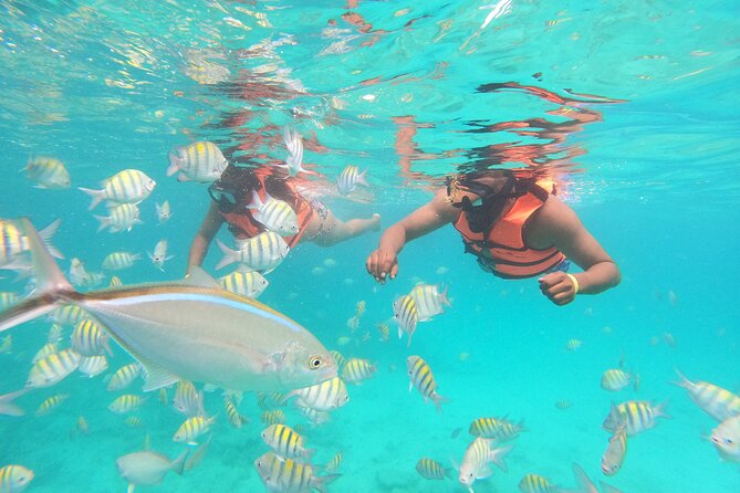 Speedboat Adventure to Snorkeling Spot and Natural Pool - Taking the wheel along Punta Cana’s coast