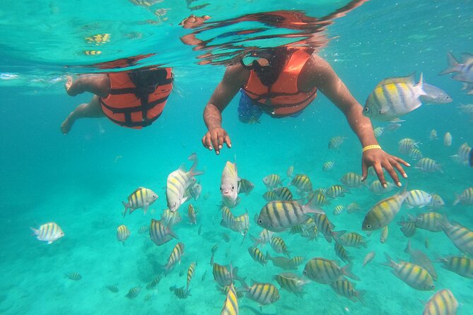 Speedboat Adventure to Snorkeling Spot and Natural Pool - Pickup deserves a careful check
