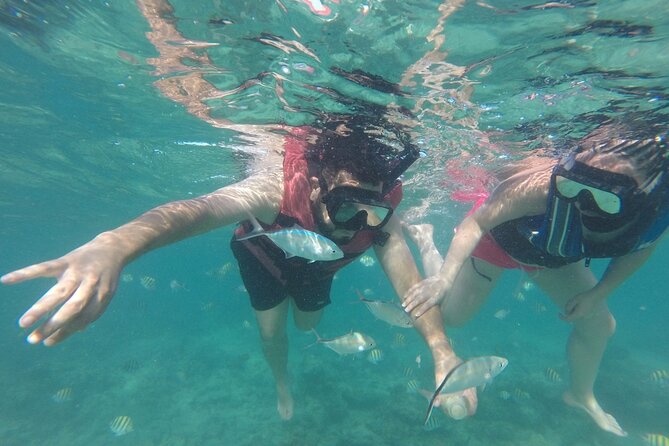 Speedboat Sailing with Snorkeling Experience in Punta Cana - Is $90 a Fair Price?