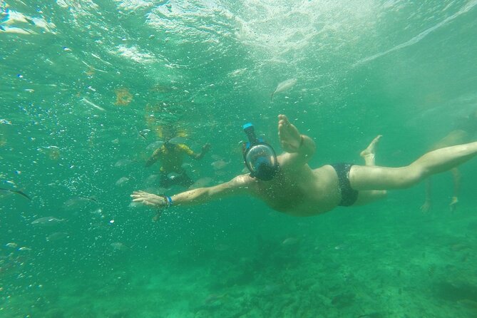 Speedboat Sailing with Snorkeling Experience in Punta Cana - Who Will Enjoy This Most?