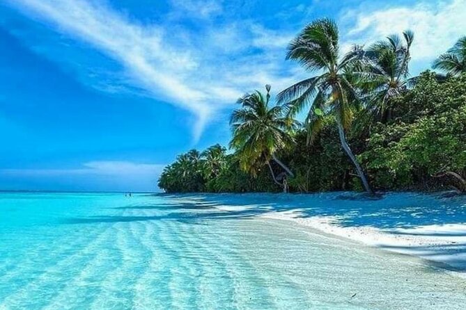 standard and premium transfer from punta cana airport to las terrenas - Who gets the best value from this transfer