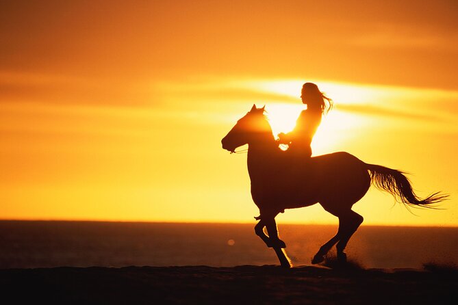 Sunset Beach Horseback Riding - What makes the guides important