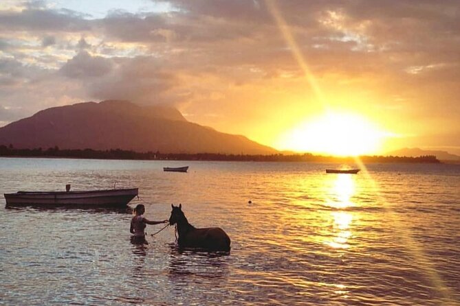 Sunset Beach Horseback Riding - Is $69 a good value?