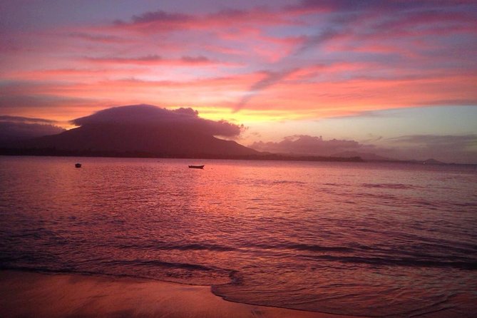 Sunset Beach Horseback Riding - A gentle start through jungle and fields