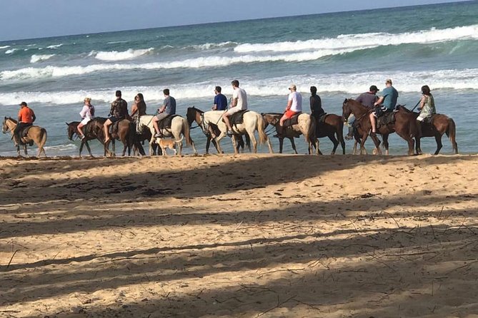 Sunset beach horsebackriding Punta Cana - Riding from Punta Cana’s beach toward the Maimon River