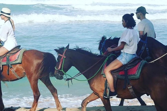 Sunset beach horsebackriding Punta Cana - What the three-hour outing really feels like