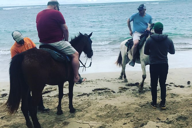 Sunset beach horsebackriding Punta Cana - Photos, coconut water, and the on-site shop