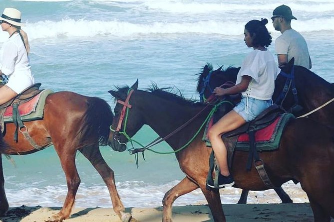 Sunset beach horsebackriding Punta Cana - Who will enjoy this Punta Cana horseback ride?