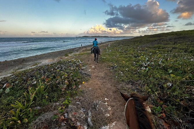 Sunset Horseback Ride at Macao Beach & Forest with Transfers - The 15-Minute Stop at World Mart Souvenirs