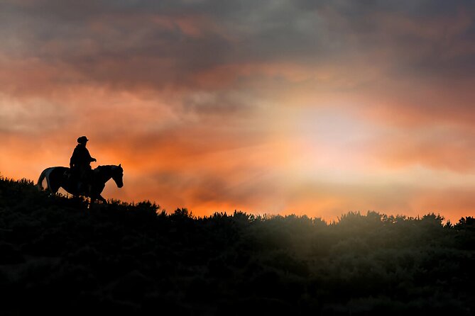 Sunset Horseback Ride at Macao Beach & Forest with Transfers - Is $61 a Fair Price?