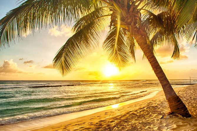 Sunset Horseback Ride at Macao Beach & Forest with Transfers - Who Will Enjoy This Ride Most