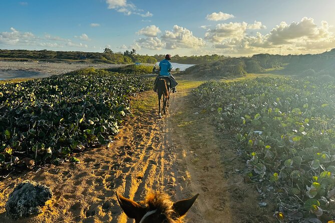Sunset Horseback Ride at Macao Beach & Forest with Transfers - Practical Timing, Weather, and Cancellation