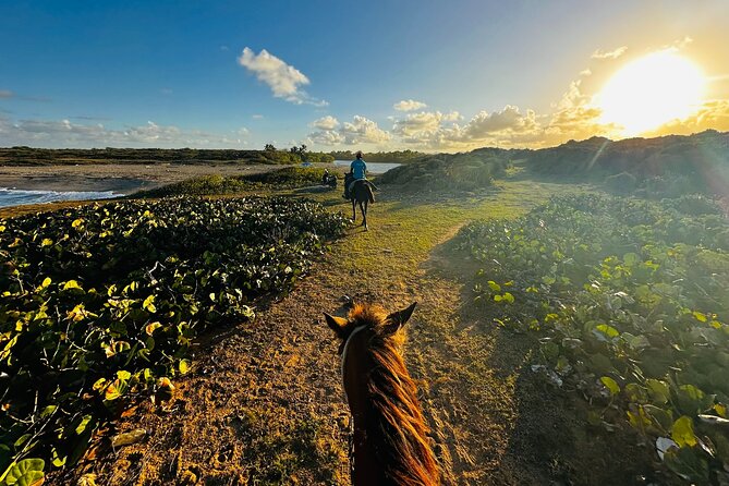 Sunset Horseback Ride at Macao Beach & Forest with Transfers - Rio Maimon: A Quiet Second Act
