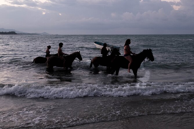 Sunset Horseback Riding in Puerto Plata - Who will enjoy this Puerto Plata ride most