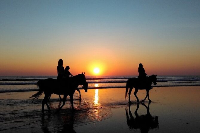 Sunset Horseback Riding in Puerto Plata - Meeting your horse and getting comfortable in the saddle