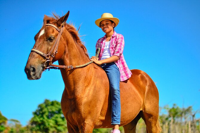 Sunset Horseback Riding Tour in Punta Cana (Private Option) - From Punta Cana hotel pickup to Rancho Un Regalo de Dios