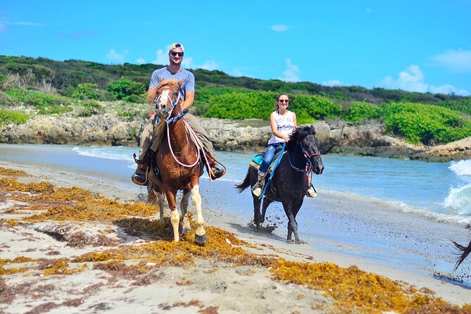 Sunset Horseback Riding Tour in Punta Cana (Private Option) - Safety, horse care, and comfort