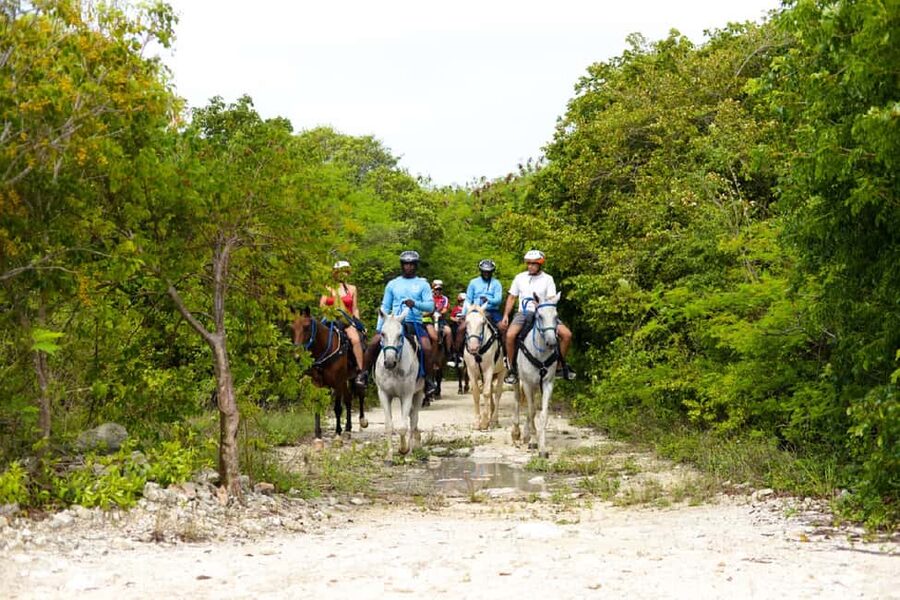 Swim Horse fom Punta Cana - Key points to know before booking