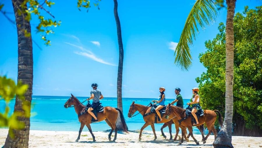 Swim Horse fom Punta Cana - Why swimming with a horse is the real attraction