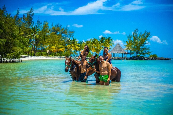 Swimming with Horses at the Beach from Punta Cana Free transportation - Key points before you book
