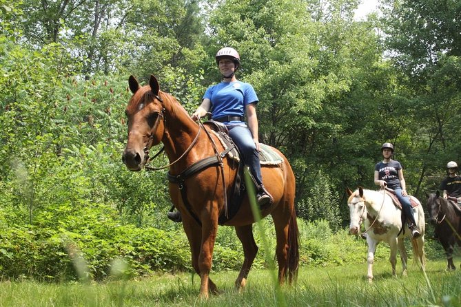 Swimming with Horses at the Beach from Punta Cana Free transportation - Indigenous Eyes and the springs