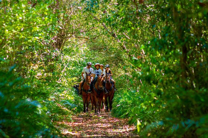 Swimming with Horses at the Beach from Punta Cana Free transportation - What the $119 price really covers