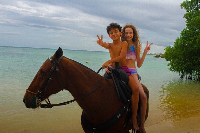 Swimming with Horses at the Beach from Punta Cana Free transportation - Who will get the most from this outing
