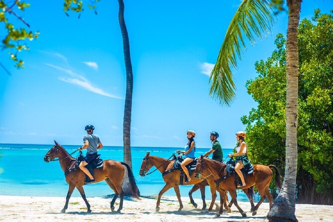 Swimming with Horses at the Beach from Punta Cana Free transportation - A snack stop beside mangroves and clear water