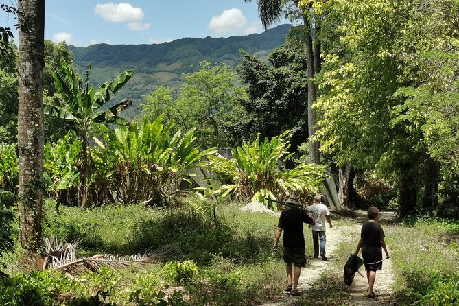 Taino Valley Tropical Park Puerto Plata Tubagua - Key points to know before you book