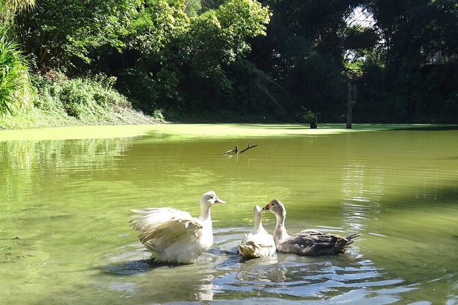 Taino Valley Tropical Park Puerto Plata Tubagua - A different kind of Puerto Plata outing