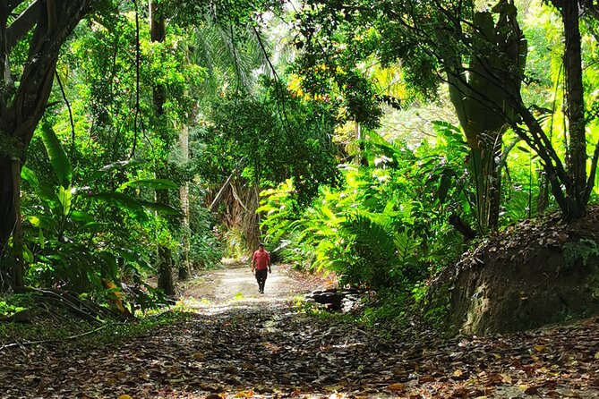 Taino Valley Tropical Park Puerto Plata Tubagua - Forest water, fish ponds, and a mountain viewpoint