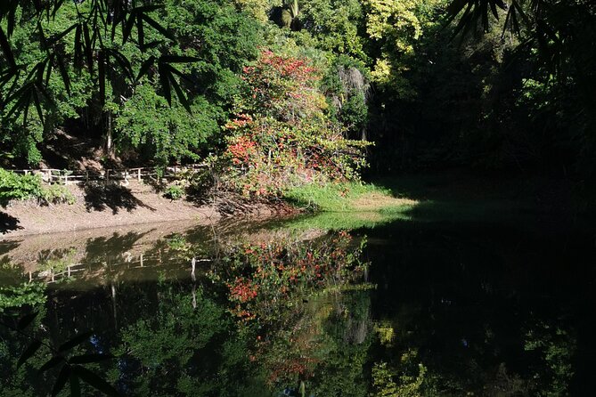 Taino Valley Tropical Park Puerto Plata Tubagua - Who will enjoy this park most?
