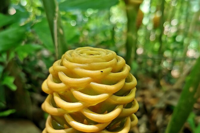 Taino Valley Tropical Park Puerto Plata Tubagua - Practical planning for a smoother visit