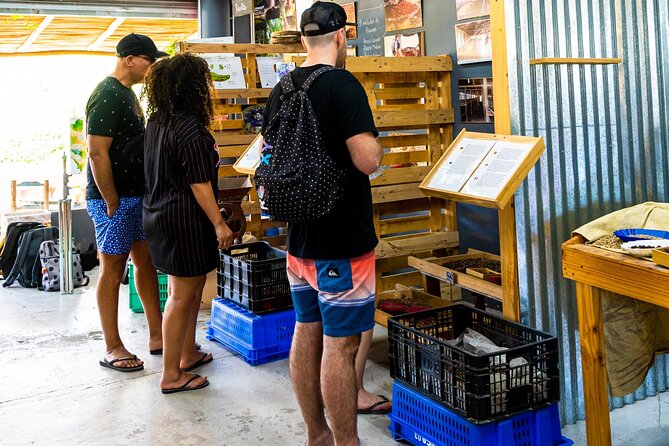 The Coffee Experience - The first lesson: coffee in the Dominican mountains