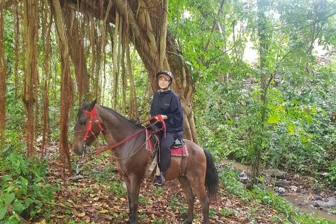 The Ultimate Dominican Horseback Riding Adventure - Key points to know before you book