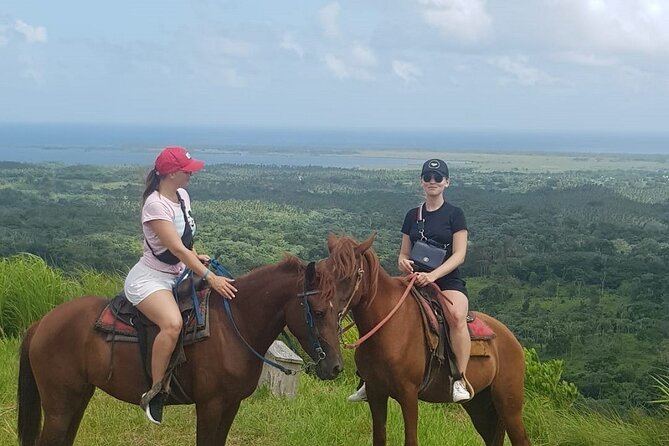 The Ultimate Dominican Horseback Riding Adventure - Getting matched with a horse at Rancho Cana Tequila