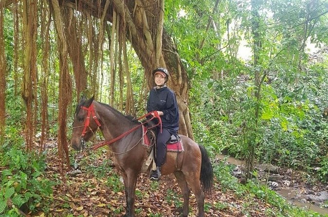 The Ultimate Dominican Horseback Riding Adventure - A Dominican lunch that earns its place in the itinerary