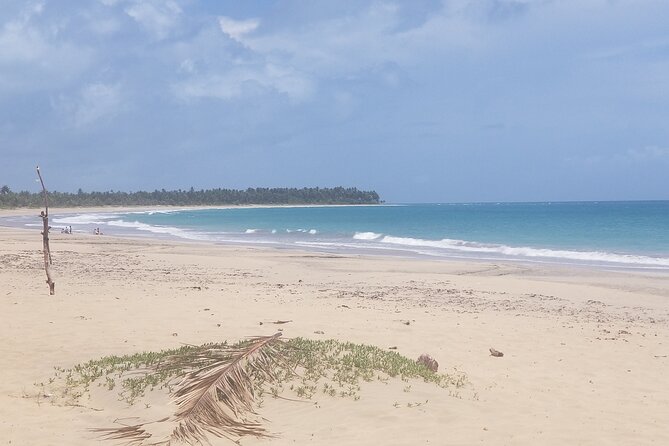 Tour to Montana Redonda and Emerald Coast Beach - Lunch helps explain the $150 price