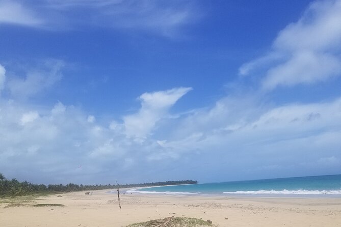 Tour to Montana Redonda and Emerald Coast Beach - Should you book Montana Redonda and Playa Esmeralda?